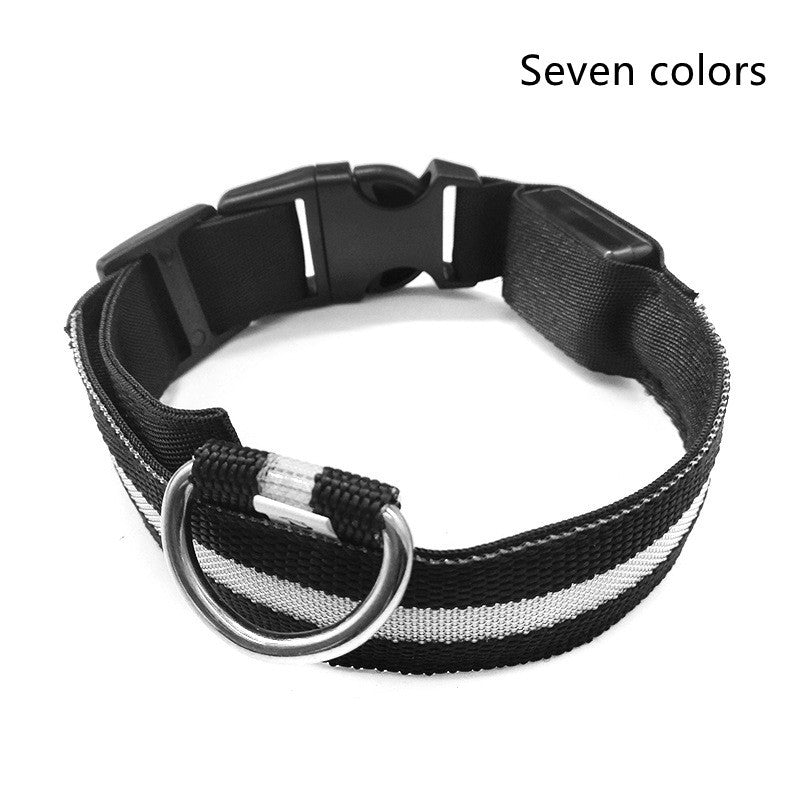 Safety Dog LED Collar