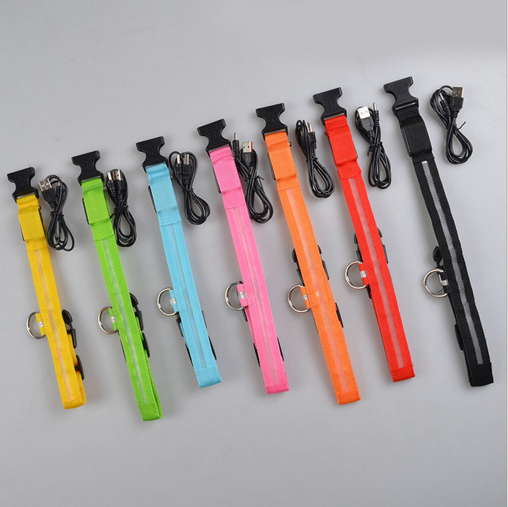 Safety Dog LED Collar