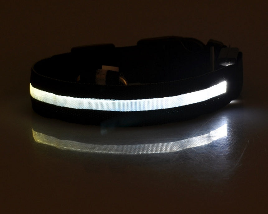 Safety Dog LED Collar