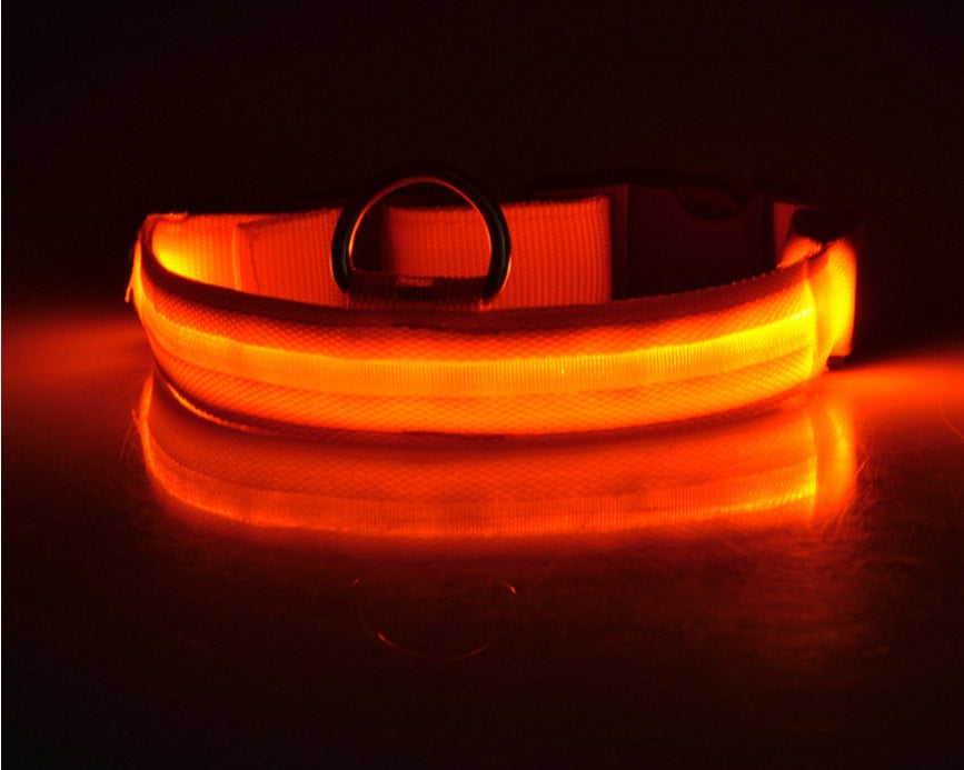 Safety Dog LED Collar