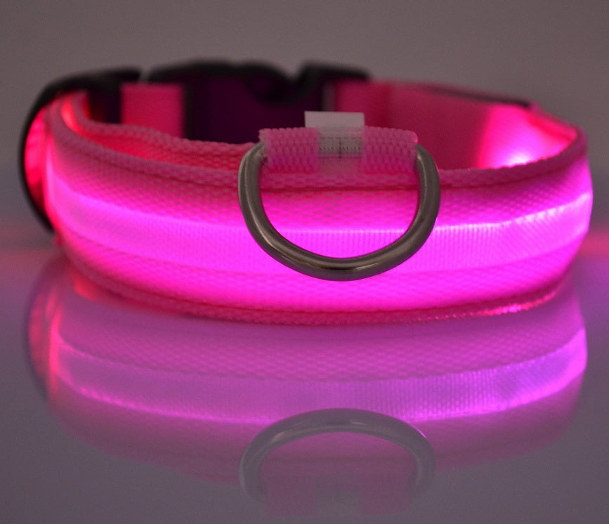 Safety Dog LED Collar