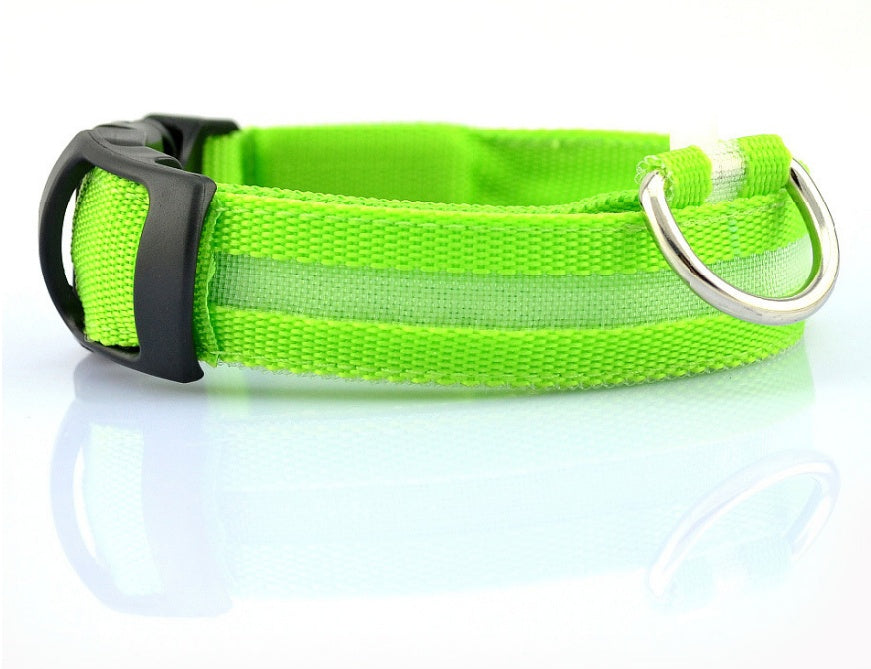 Safety Dog LED Collar