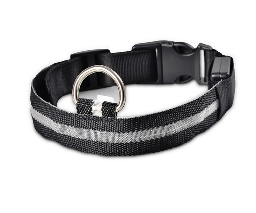 Safety Dog LED Collar