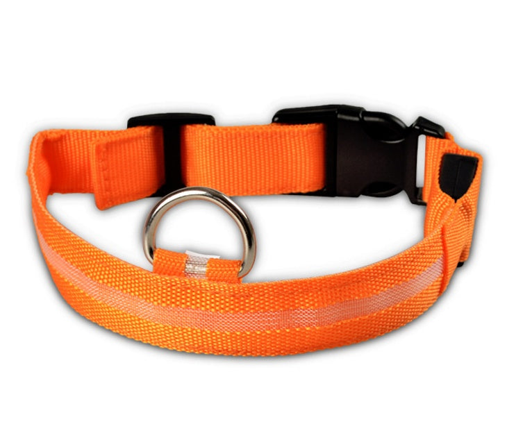 Safety Dog LED Collar