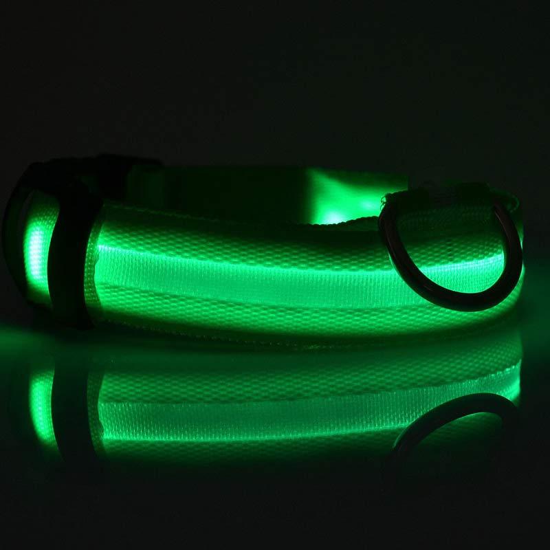 Safety Dog LED Collar