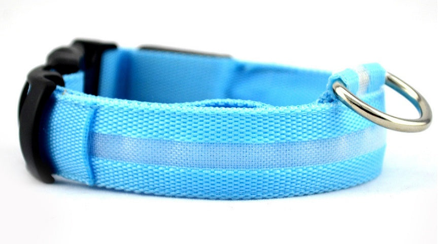 Safety Dog LED Collar