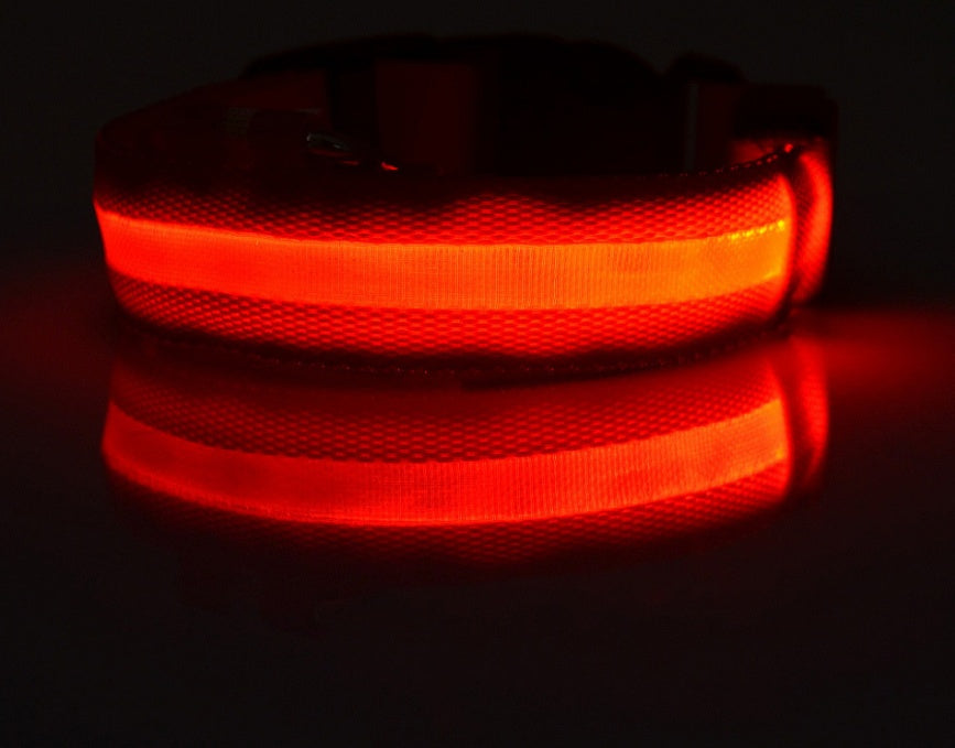 Safety Dog LED Collar