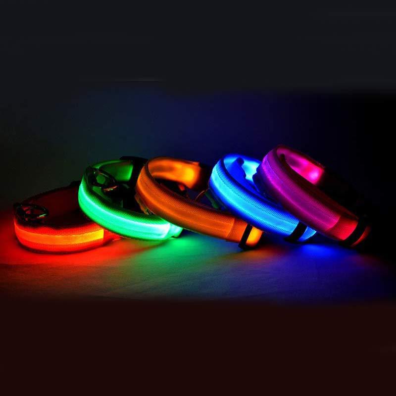 Safety Dog LED Collar