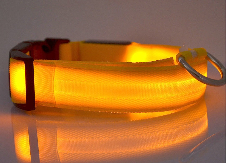 Safety Dog LED Collar