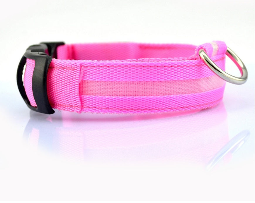 Safety Dog LED Collar