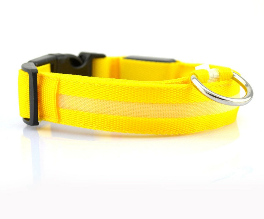 Safety Dog LED Collar