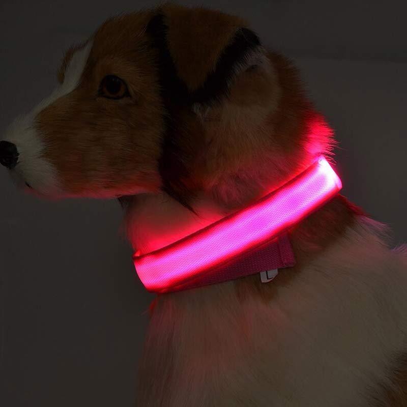 Safety Dog LED Collar