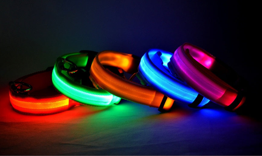 Safety Dog LED Collar