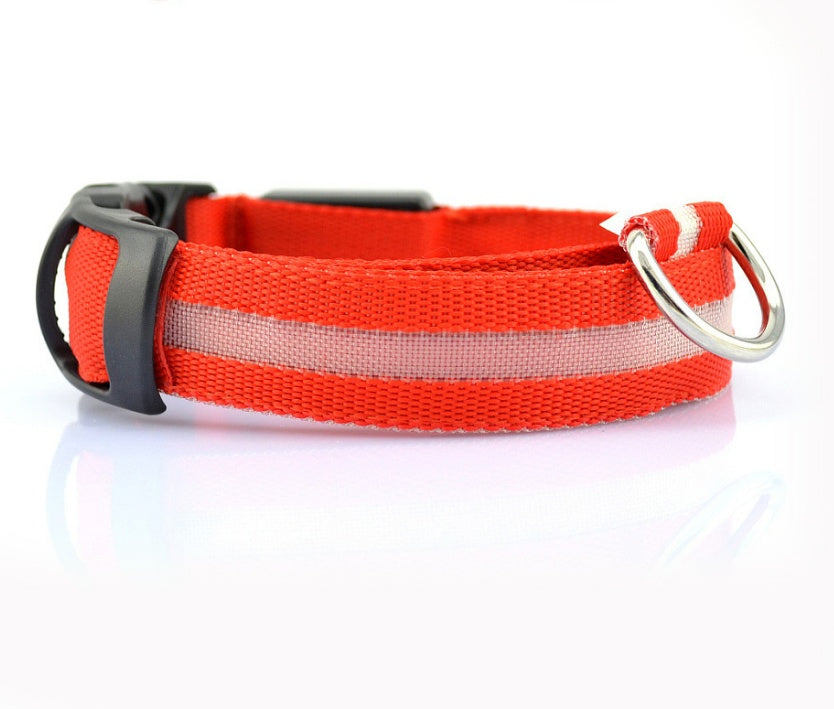 Safety Dog LED Collar
