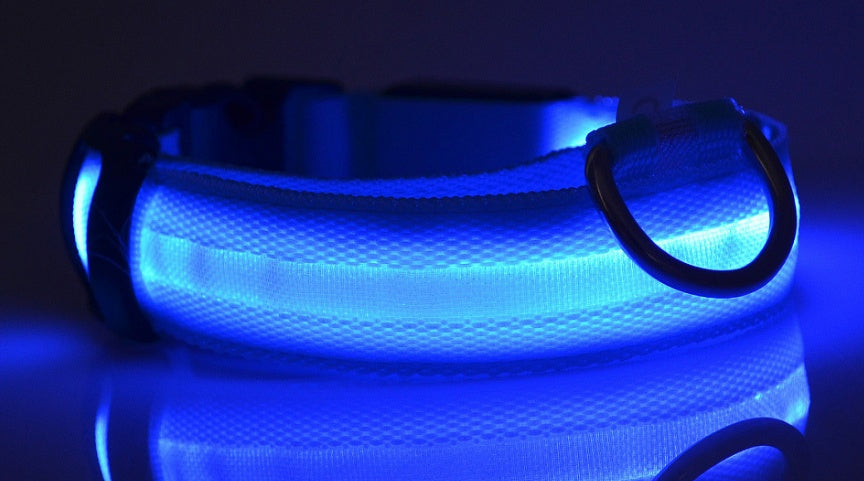 Safety Dog LED Collar