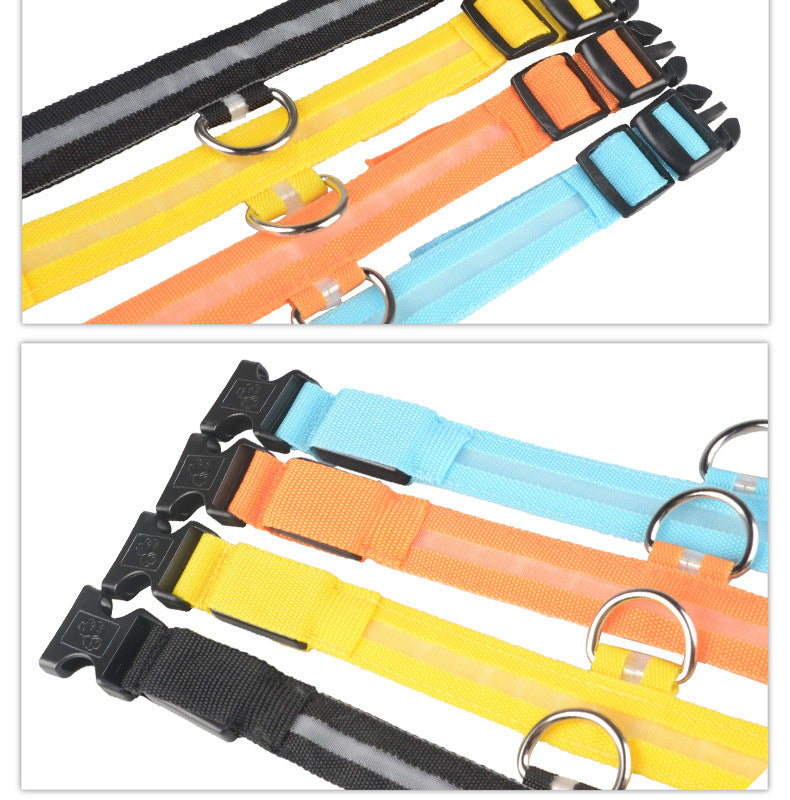 Safety Dog LED Collar