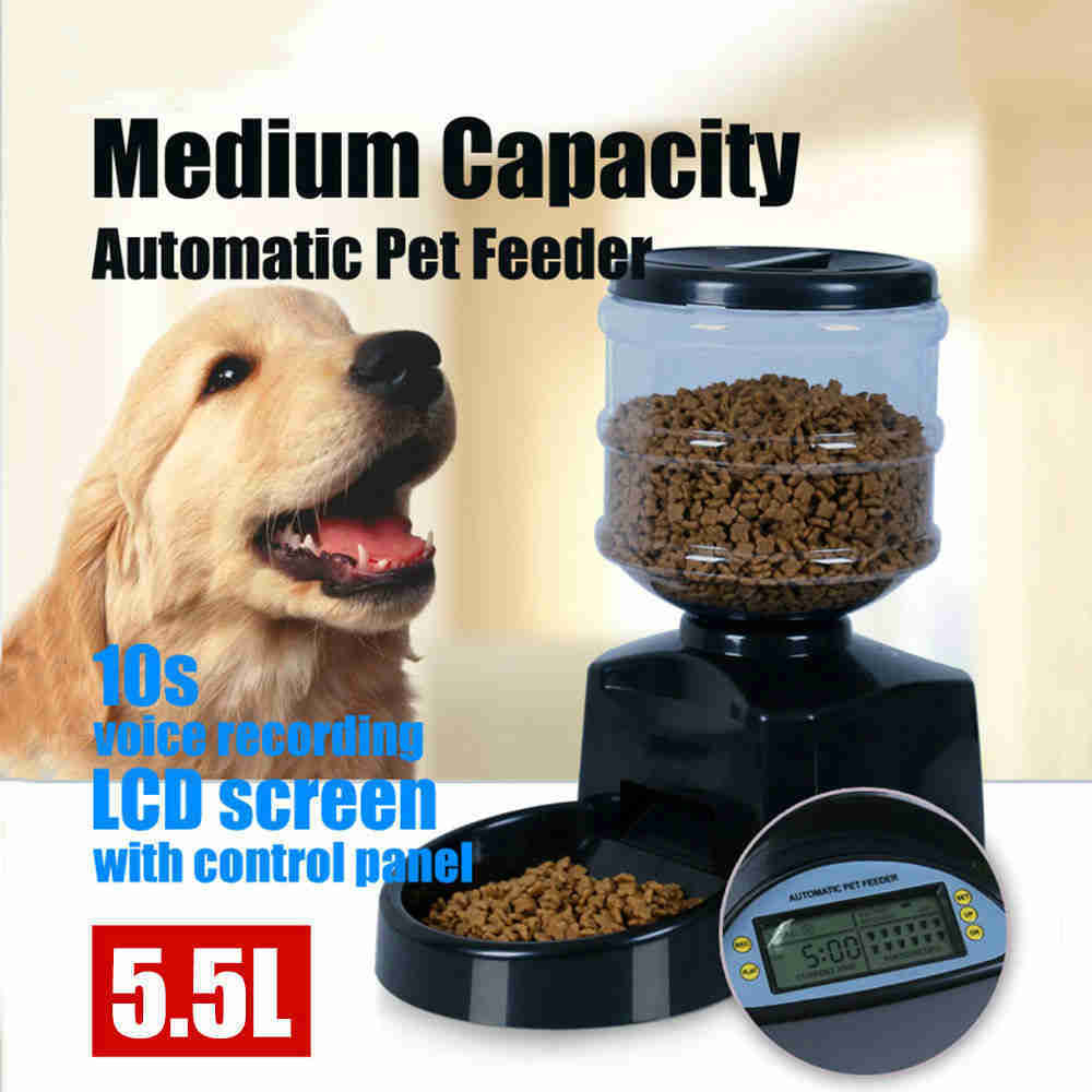 Automatic Timing Intelligent