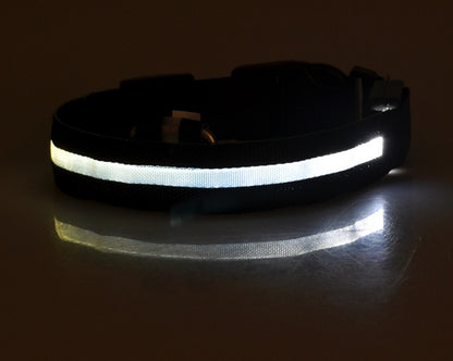 Safety Dog LED Collar
