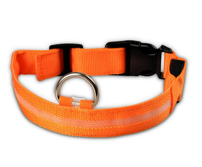 Safety Dog LED Collar