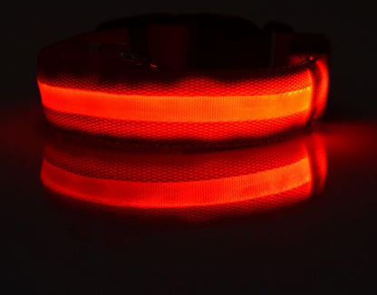 Safety Dog LED Collar
