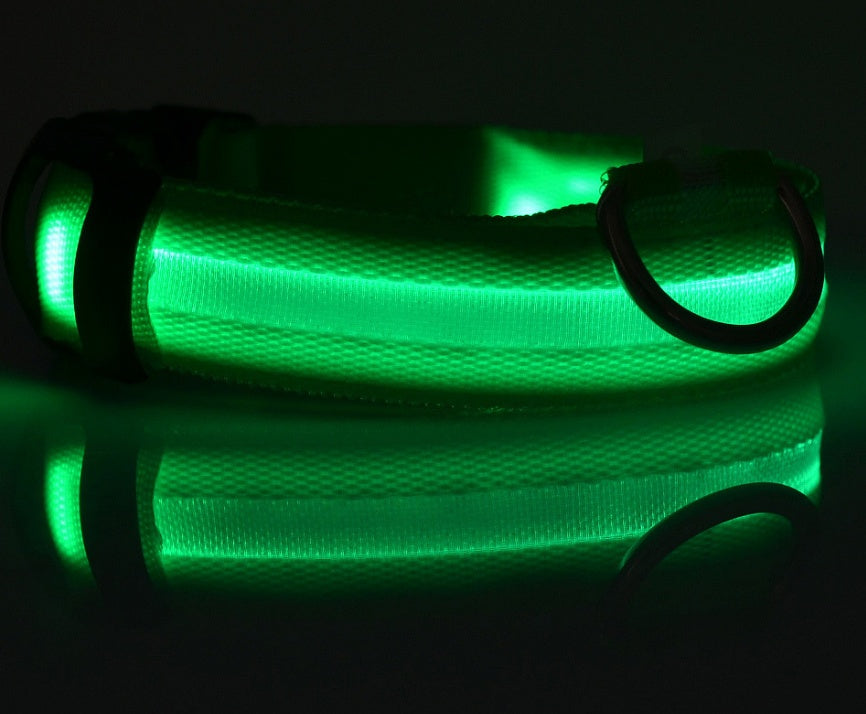 Safety Dog LED Collar